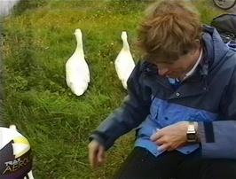Michael with the ducks opposite Mrs Fergusson's B&B